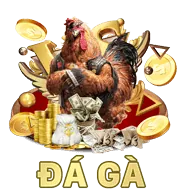 Đá Gà okking